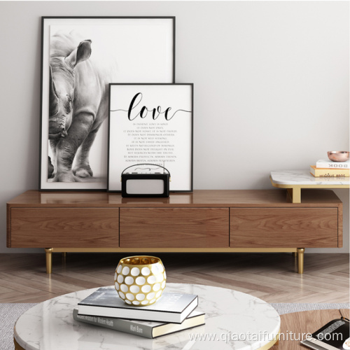 Modern Gold FrameMulti-Functional Storage TV Stand